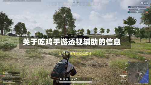 关于吃鸡手游透视辅助的信息-第3张图片