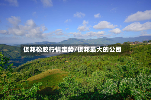 佤邦橡胶行情走势/佤邦最大的公司