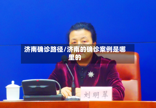济南确诊路径/济南的确诊案例是哪里的-第2张图片