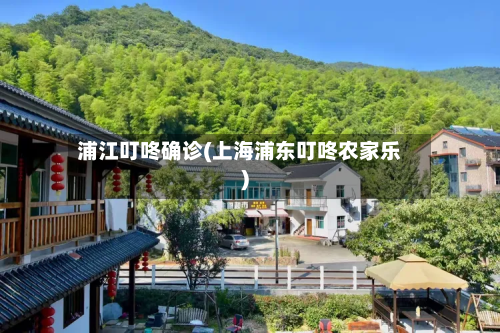 浦江叮咚确诊(上海浦东叮咚农家乐)