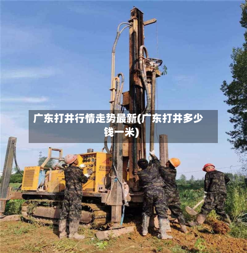 广东打井行情走势最新(广东打井多少钱一米)-第2张图片