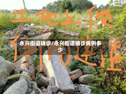 永兴街道确诊/永兴街道确诊病例多少