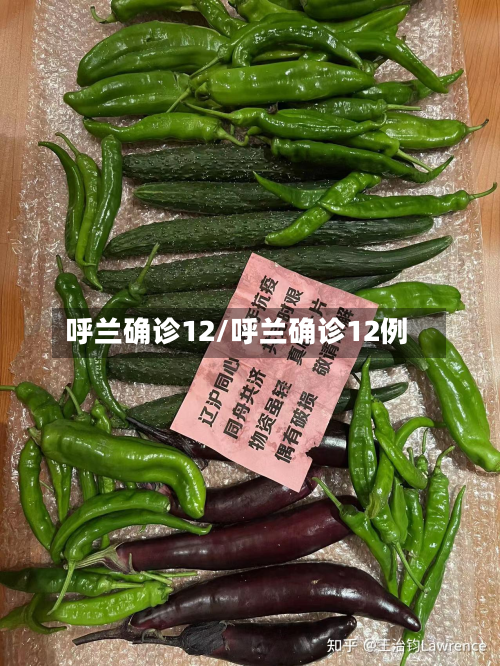 呼兰确诊12/呼兰确诊12例