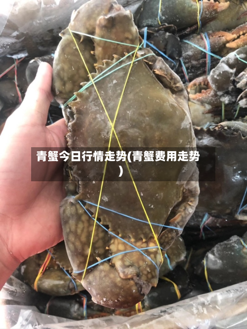 青蟹今日行情走势(青蟹费用走势)