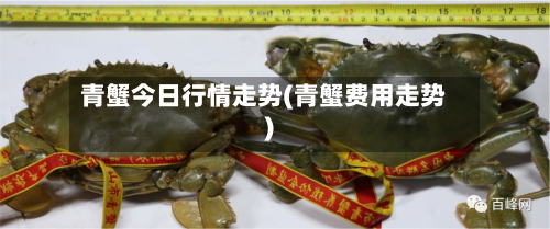 青蟹今日行情走势(青蟹费用走势)-第2张图片