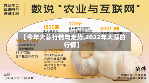 【今年大蒜行情与走势,2022年大蒜的行情】-第2张图片