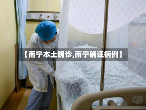【南宁本土确诊,南宁确证病例】-第2张图片
