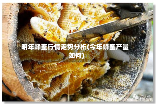 明年蜂蜜行情走势分析(今年蜂蜜产量如何)