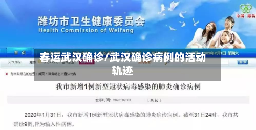 春运武汉确诊/武汉确诊病例的活动轨迹-第2张图片