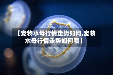 【宠物水母行情走势如何,宠物水母行情走势如何看】