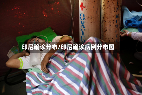 印尼确诊分布/印尼确诊病例分布图