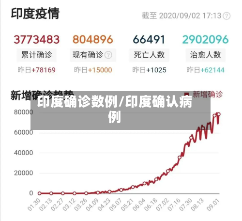 印度确诊数例/印度确认病例