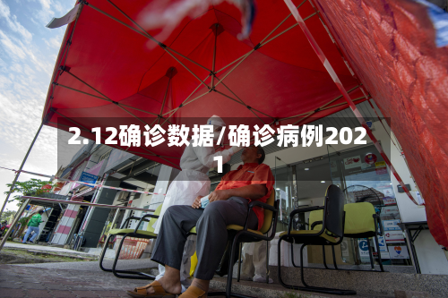 2.12确诊数据/确诊病例2021