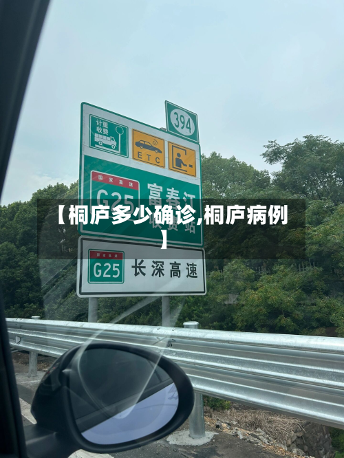 【桐庐多少确诊,桐庐病例】