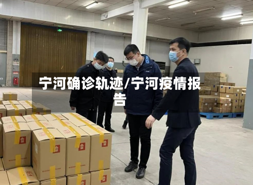 宁河确诊轨迹/宁河疫情报告