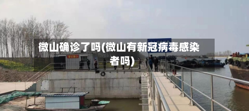 微山确诊了吗(微山有新冠病毒感染者吗)