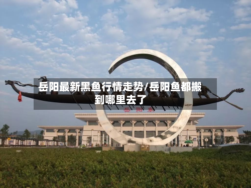 岳阳最新黑鱼行情走势/岳阳鱼都搬到哪里去了