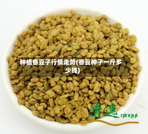 种植香豆子行情走势(香豆种子一斤多少钱)