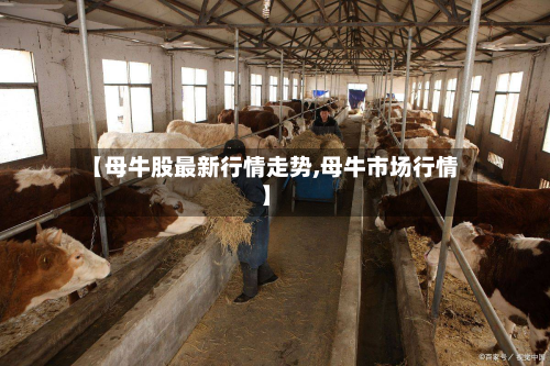 【母牛股最新行情走势,母牛市场行情】-第2张图片