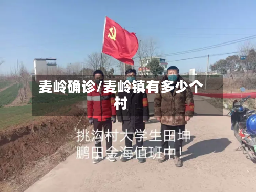 麦岭确诊/麦岭镇有多少个村-第2张图片