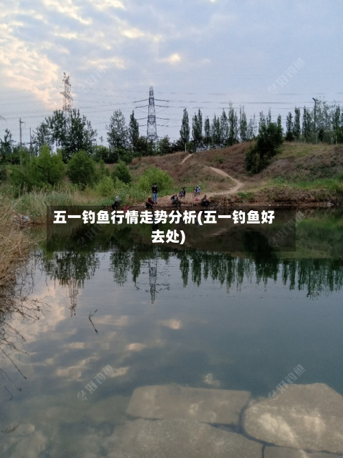 五一钓鱼行情走势分析(五一钓鱼好去处)-第2张图片