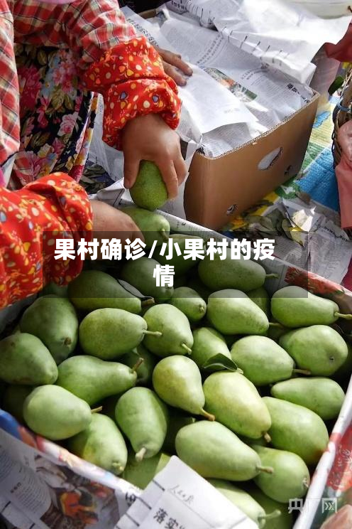 果村确诊/小果村的疫情