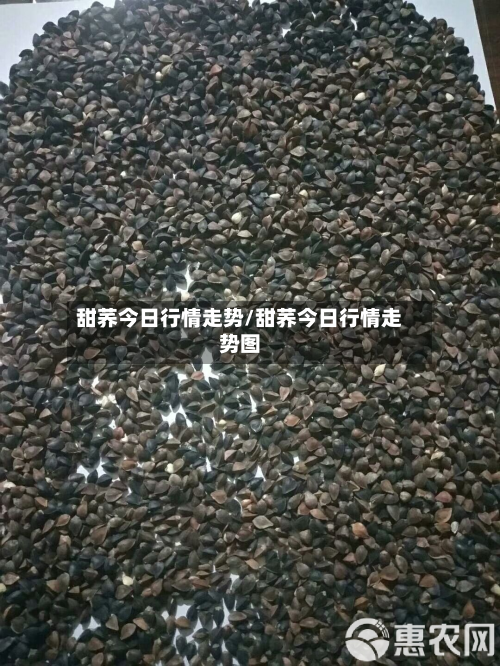 甜荞今日行情走势/甜荞今日行情走势图-第2张图片