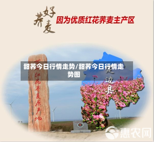 甜荞今日行情走势/甜荞今日行情走势图-第3张图片