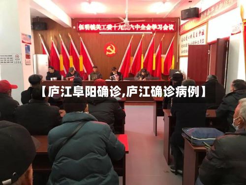【庐江阜阳确诊,庐江确诊病例】