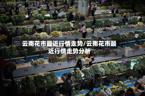 云南花市最近行情走势/云南花市最近行情走势分析-第2张图片