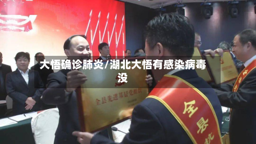 大悟确诊肺炎/湖北大悟有感染病毒没-第3张图片