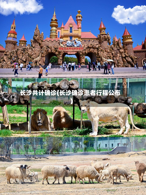 长沙共计确诊(长沙确诊患者行程公布)-第2张图片