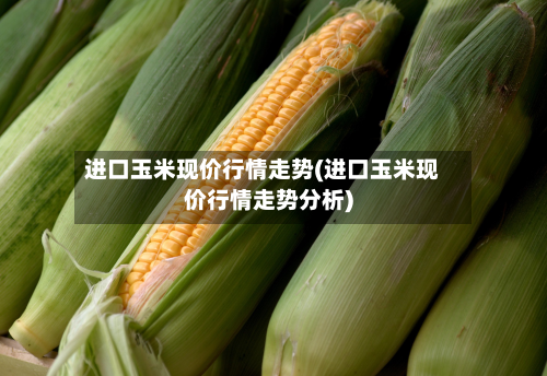 进口玉米现价行情走势(进口玉米现价行情走势分析)