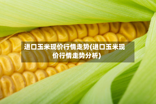 进口玉米现价行情走势(进口玉米现价行情走势分析)-第3张图片