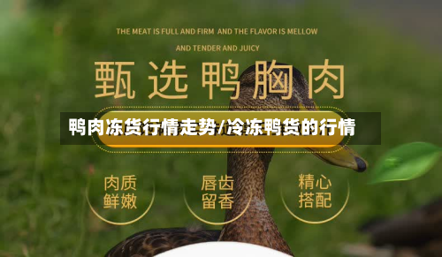 鸭肉冻货行情走势/冷冻鸭货的行情-第3张图片