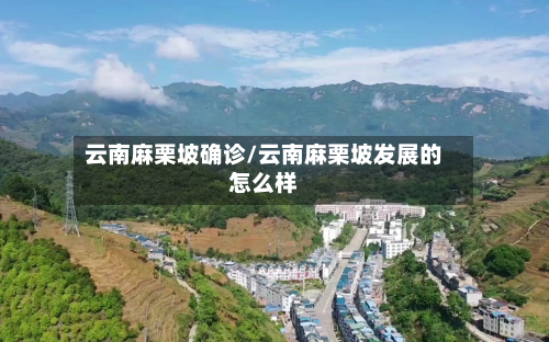 云南麻栗坡确诊/云南麻栗坡发展的怎么样-第3张图片