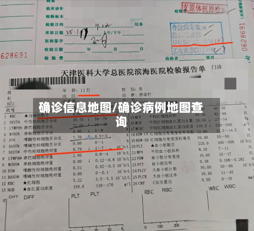 确诊信息地图/确诊病例地图查询-第2张图片