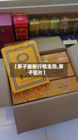 【茅子最新行情走势,茅子图片】