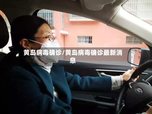 黄岛病毒确诊/黄岛病毒确诊最新消息-第2张图片