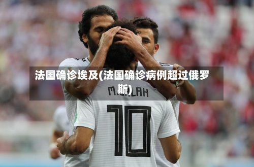 法国确诊埃及(法国确诊病例超过俄罗斯)-第2张图片