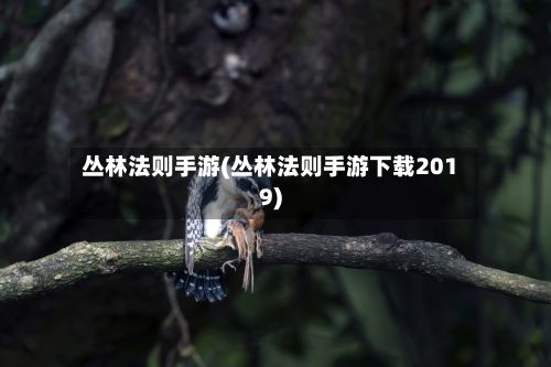 丛林法则手游(丛林法则手游下载2019)