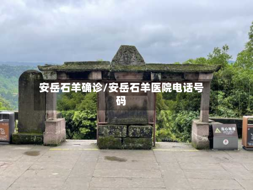安岳石羊确诊/安岳石羊医院电话号码
