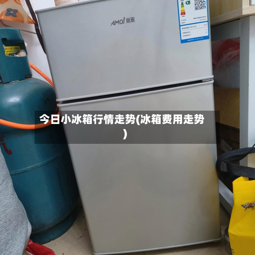 今日小冰箱行情走势(冰箱费用走势)-第2张图片