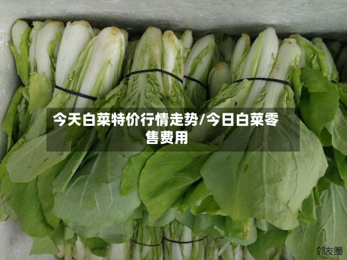 今天白菜特价行情走势/今日白菜零售费用-第2张图片