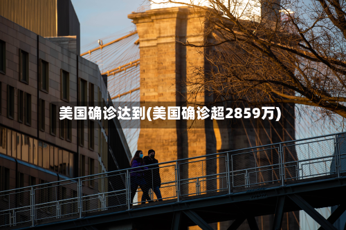 美国确诊达到(美国确诊超2859万)