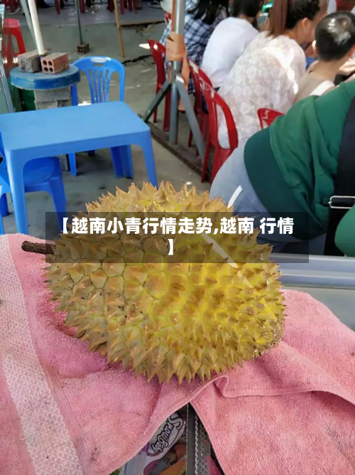 【越南小青行情走势,越南 行情】