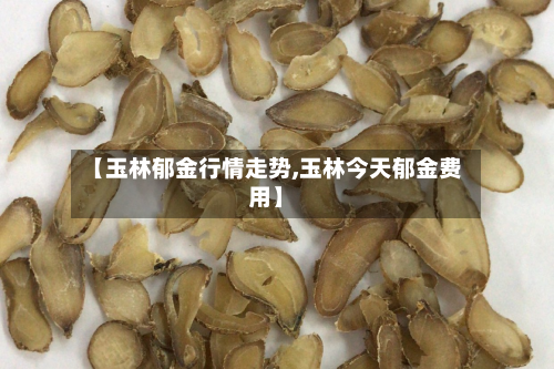 【玉林郁金行情走势,玉林今天郁金费用】