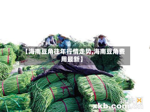 【海南豆角往年行情走势,海南豆角费用最新】