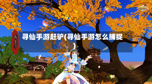寻仙手游赶驴(寻仙手游怎么捕捉)