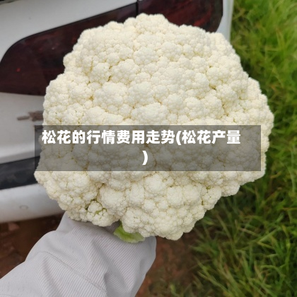 松花的行情费用走势(松花产量)-第2张图片